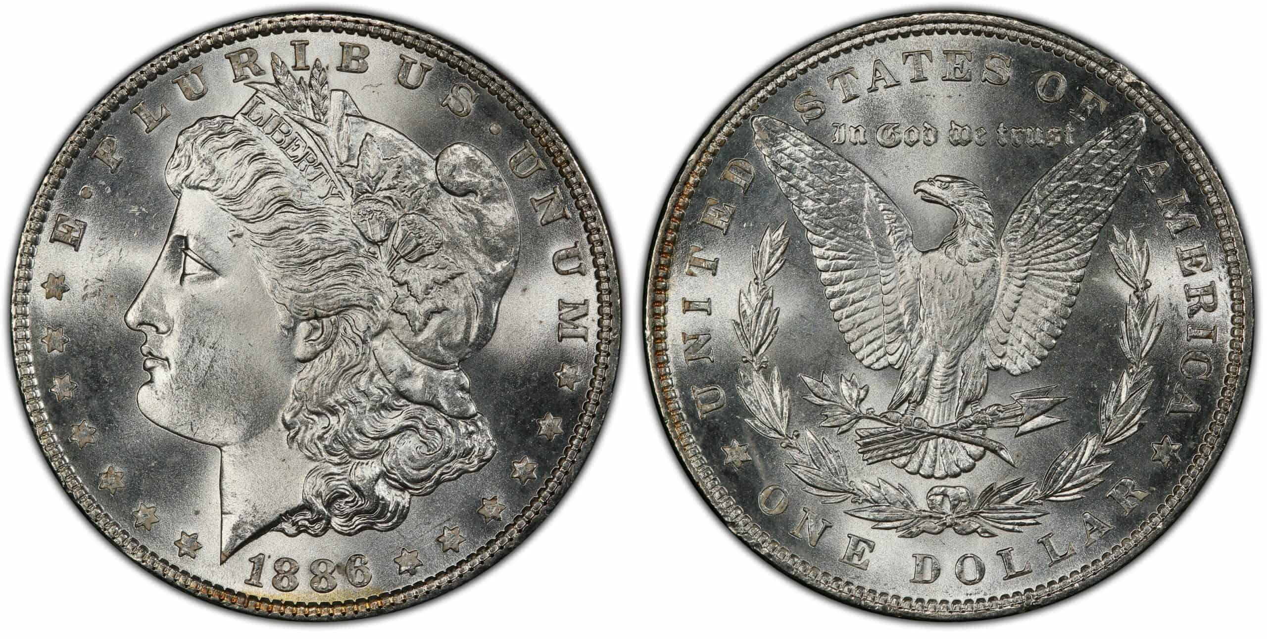 1886 (P) No Mint Mark Doubled Arrows