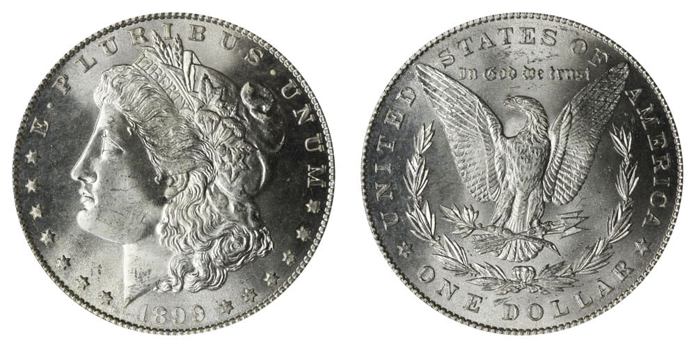 1899 Silver Dollar Details