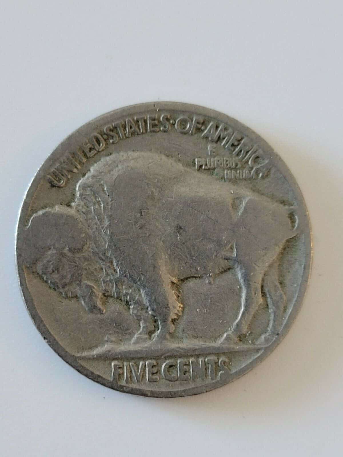 1934 No Mint Mark Buffalo Nickel Value