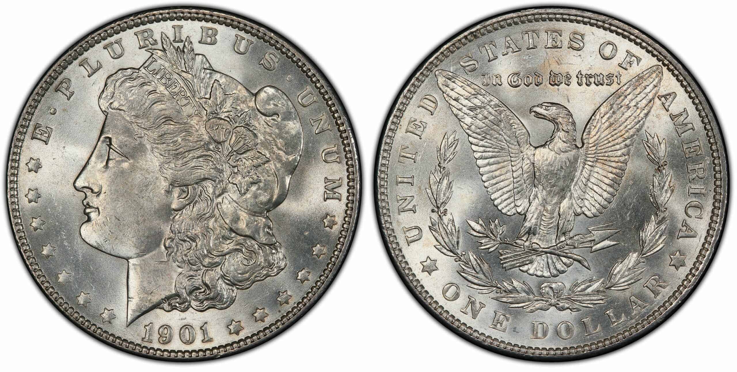 1901 Silver Dollar Details