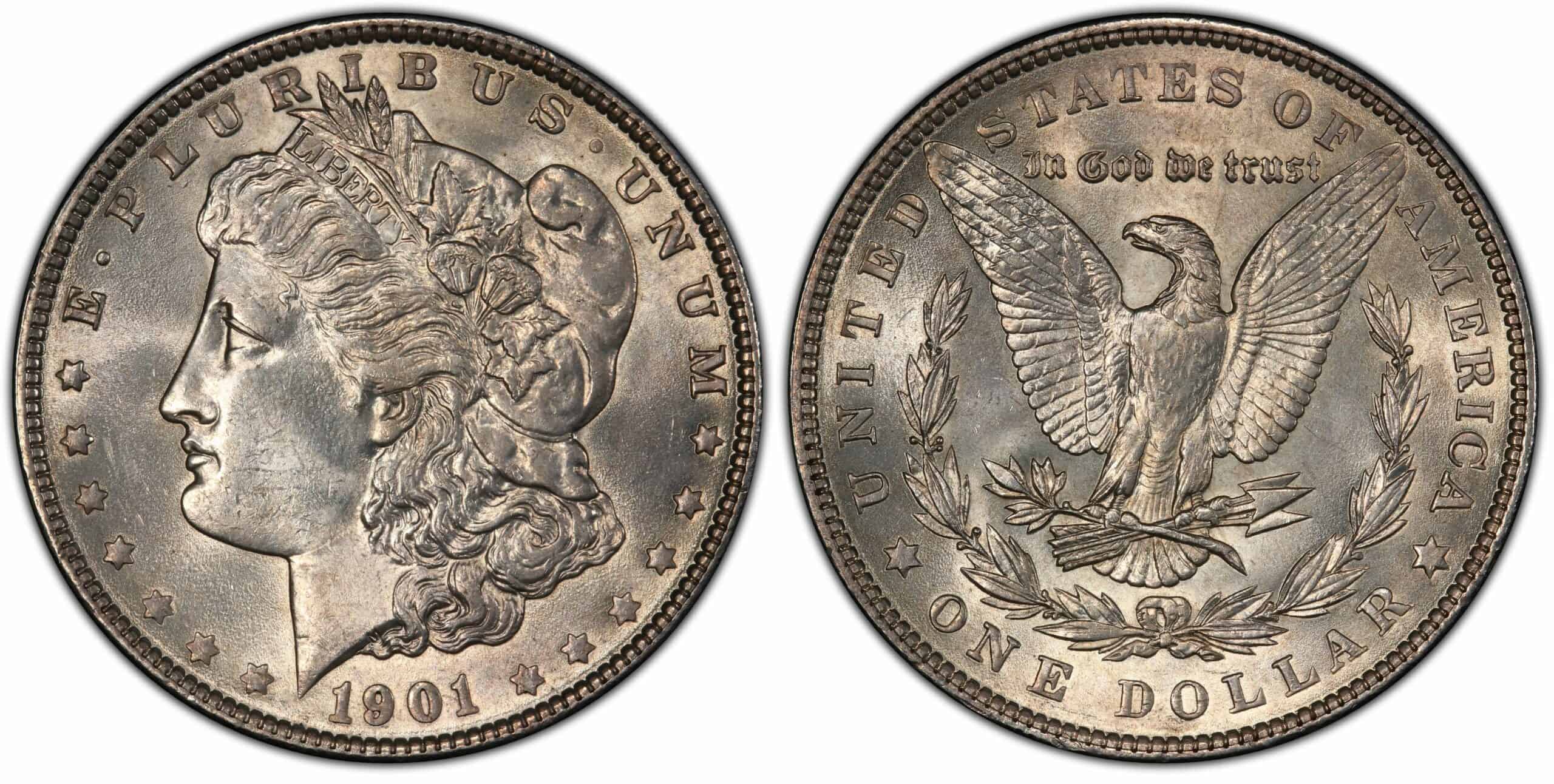 1901 Silver Dollar VAM Doubled Ear Error
