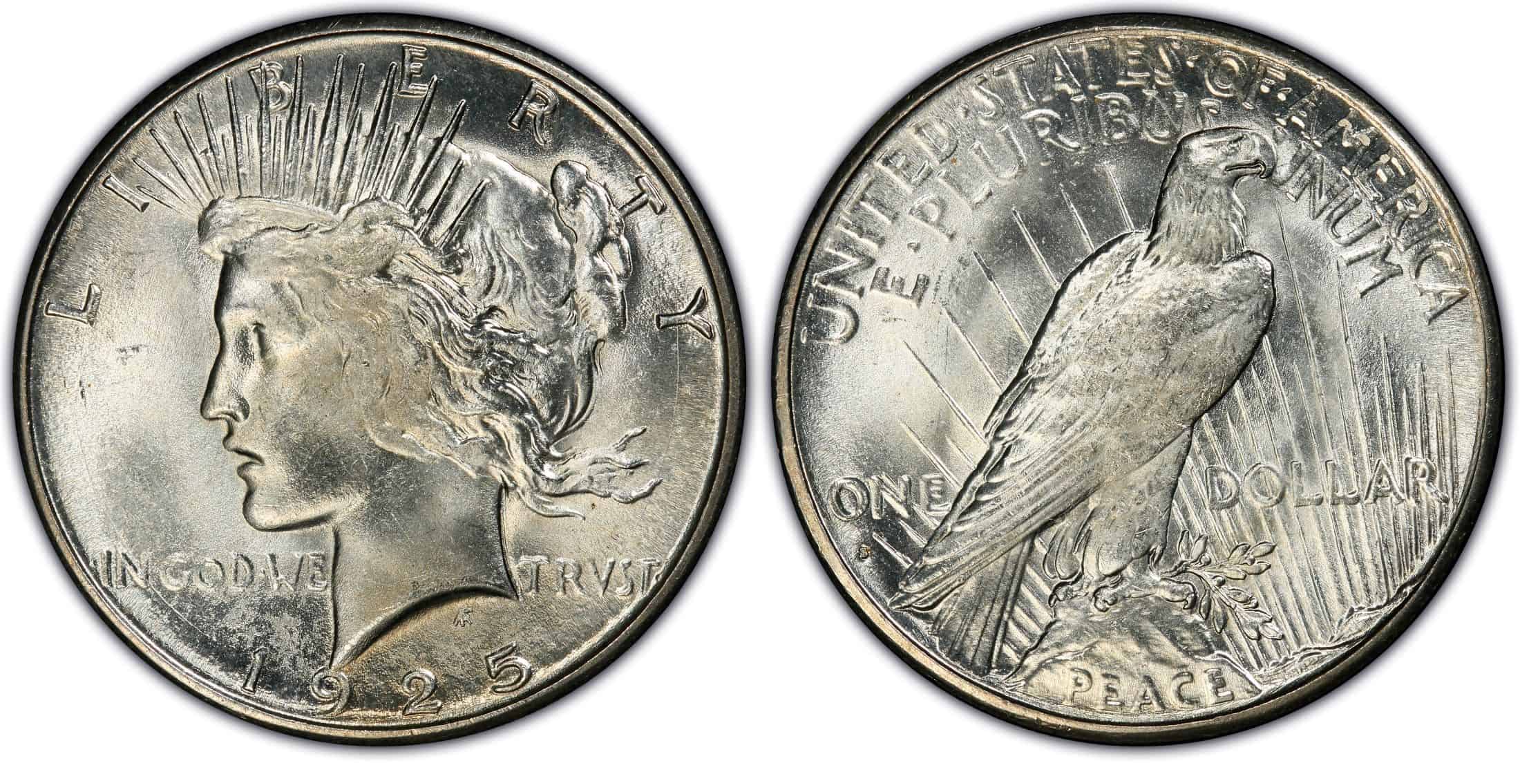 1925 Doubled Lower Reverse Silver Dollar (VAM 2)