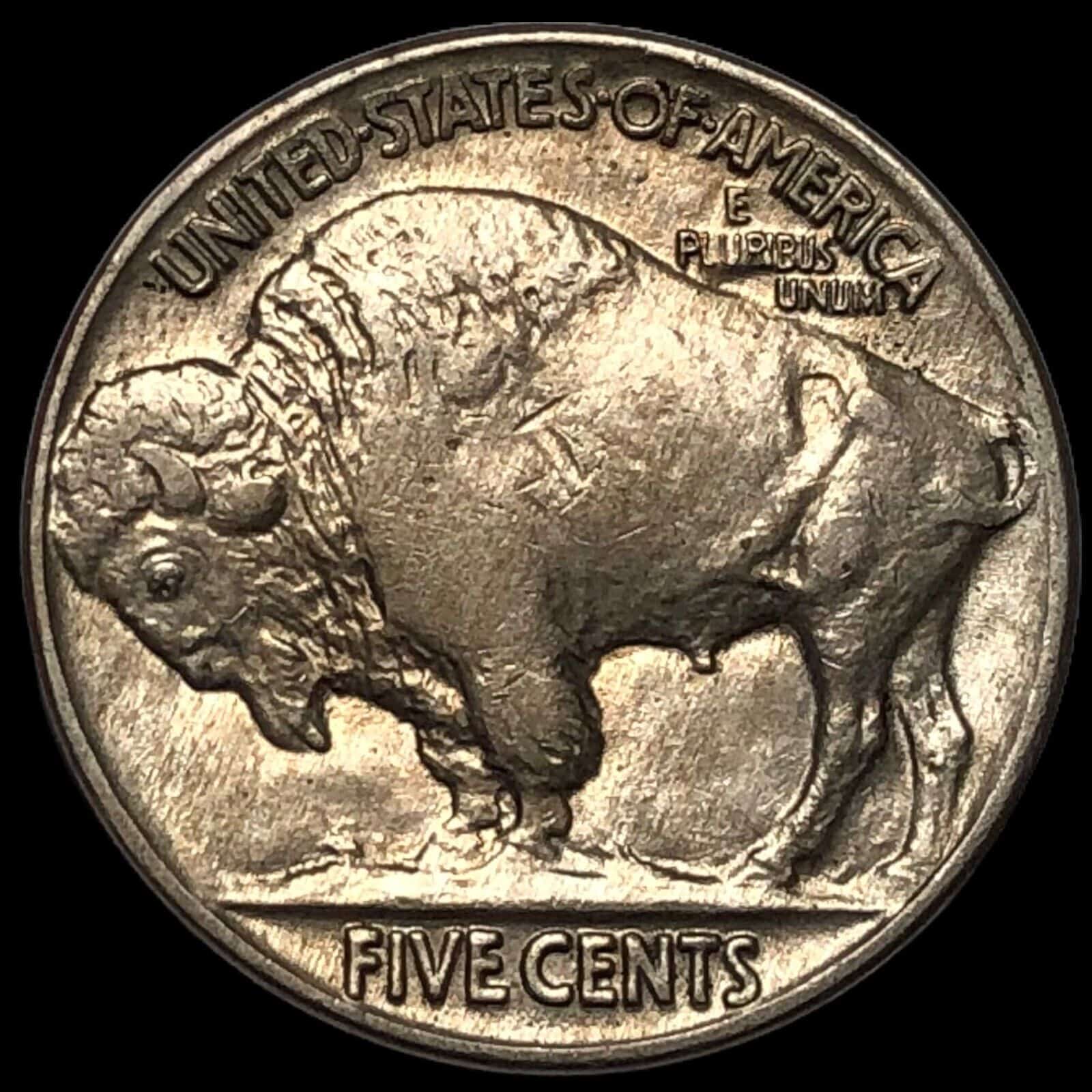 1929 Buffalo Nickel Value for No Mint Mark (P)