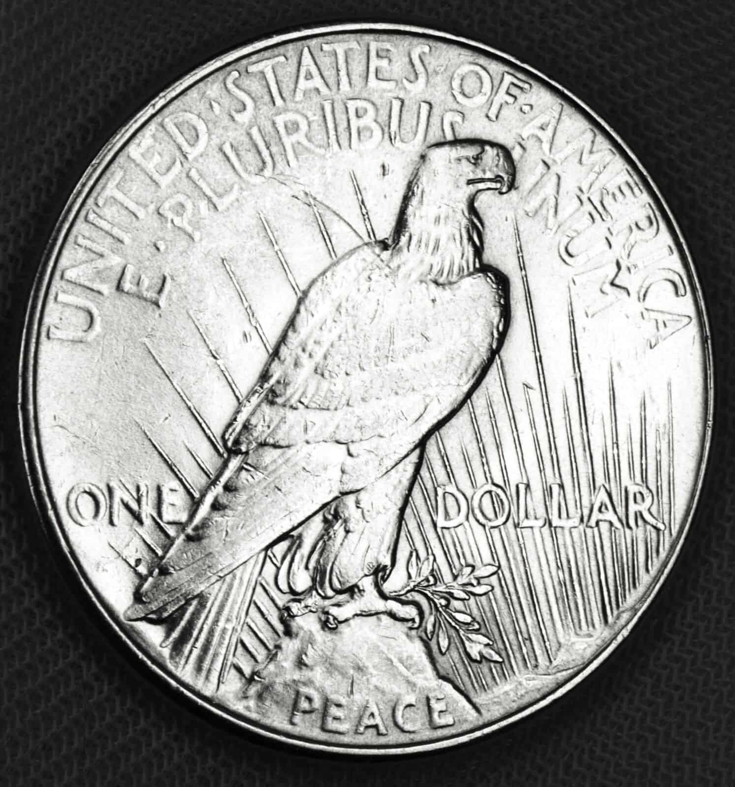 1934 (P) No Mint Mark Silver Dollar
